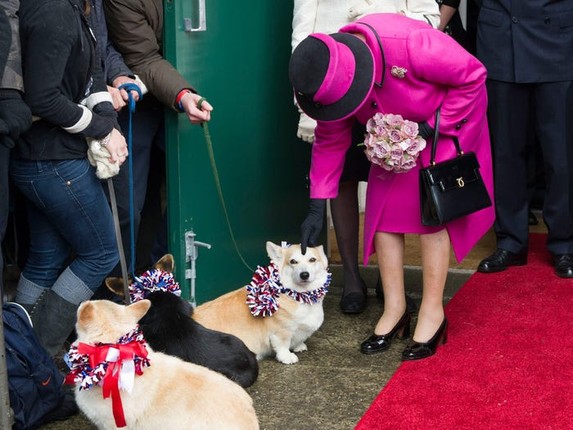 Tinh yeu voi dong vat cua Nu hoang Anh Elizabeth II-Hinh-3