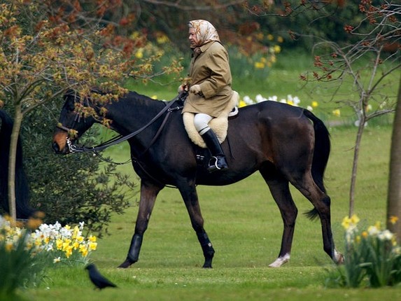 Tinh yeu voi dong vat cua Nu hoang Anh Elizabeth II-Hinh-4