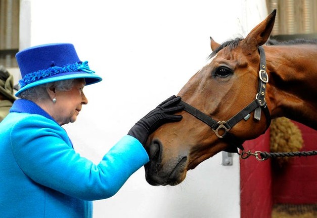 Tinh yeu voi dong vat cua Nu hoang Anh Elizabeth II-Hinh-5