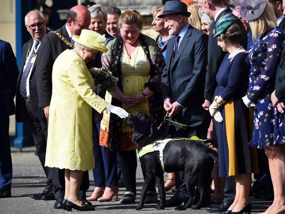 Tinh yeu voi dong vat cua Nu hoang Anh Elizabeth II