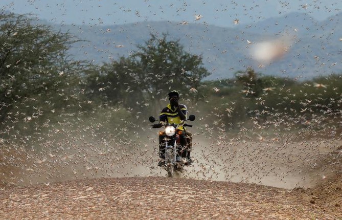 Kinh hoang dai dich chau chau tan pha vung que o Kenya