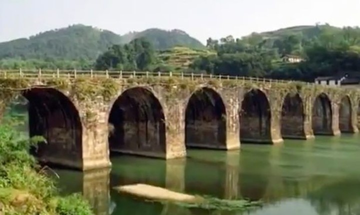 Hai hung nuoc lu cuon troi, pha huy loat cay cau hang tram tuoi-Hinh-2