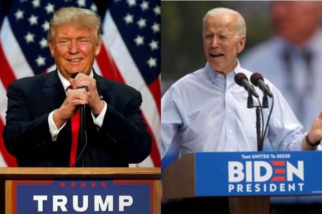 Cu tri goc Viet ung ho Tong thong Trump hay ong Biden?-Hinh-10