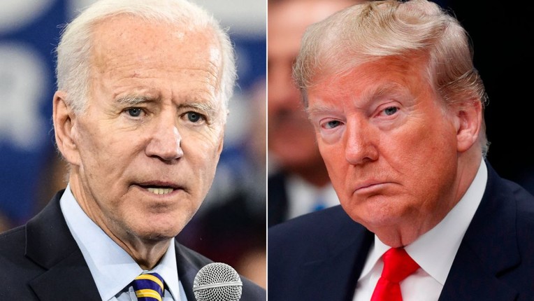 Cu tri goc Viet ung ho Tong thong Trump hay ong Biden?-Hinh-2