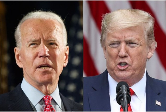 Cu tri goc Viet ung ho Tong thong Trump hay ong Biden?-Hinh-8