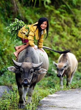 Tu vi ngay 27/4/2020 cho 12 con giap: Tuat tinh te, Mui thang hoa-Hinh-2