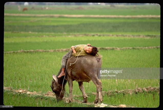 Viet Nam nhung nam 1993-1994 cuc sinh dong qua ong nguoi My-Hinh-7