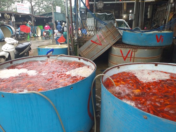 Thuong lai kiem bon tu ca chep cung ong Cong, ong Tao