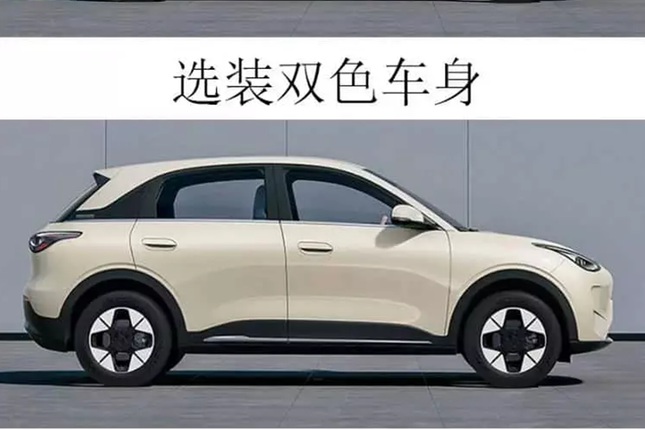 Chi tiet Geely Xingyuan EV chi 260 trieu dong-Hinh-3