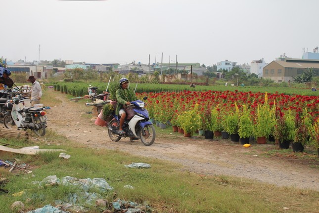 Lang hoa Sai Gon tat bat hon bao gio het nhung ngay cuoi nam-Hinh-9