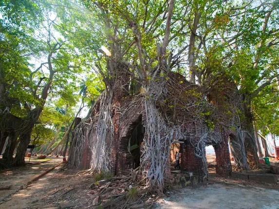 Tro lai dao hoang noi tung la nha tu khet tieng o An Do-Hinh-10