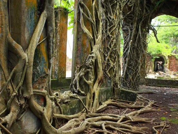 Tro lai dao hoang noi tung la nha tu khet tieng o An Do-Hinh-11