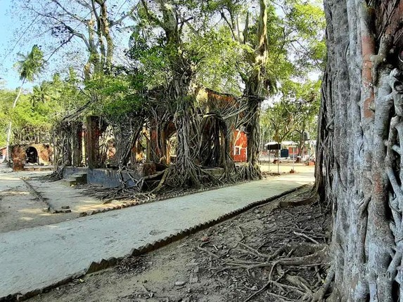 Tro lai dao hoang noi tung la nha tu khet tieng o An Do-Hinh-12