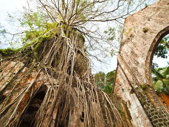 Tro lai dao hoang noi tung la nha tu khet tieng o An Do-Hinh-13