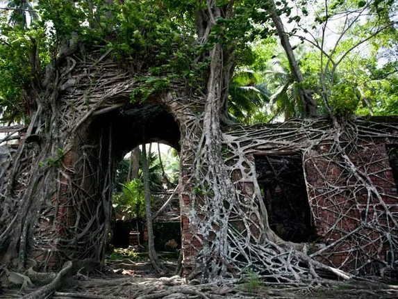 Tro lai dao hoang noi tung la nha tu khet tieng o An Do-Hinh-14