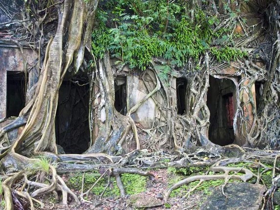 Tro lai dao hoang noi tung la nha tu khet tieng o An Do-Hinh-3