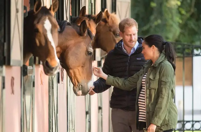 Truoc khi roi Hoang gia, Cong nuong Meghan da co nhieu hinh anh dang nhoAnh-Hinh-10