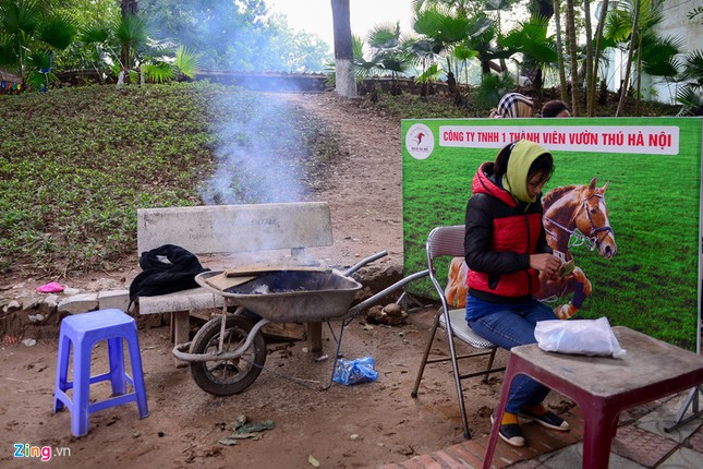 Muon kieu chong ret cua nguoi dan Ha Noi-Hinh-7