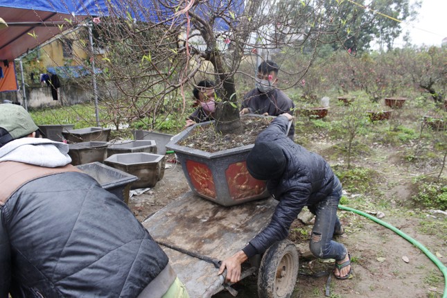 Anh: Nguoi dan trong dao Van Tao tat bat cho Tet Ky Hoi 2019-Hinh-3