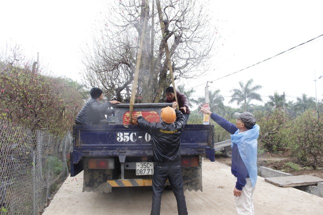 Anh: Nguoi dan trong dao Van Tao tat bat cho Tet Ky Hoi 2019-Hinh-8