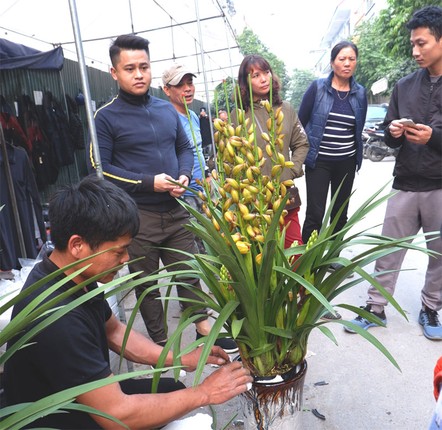 Dieu thu vi o cho hoa Tet Van Phuc nhung ngay cuoi nam-Hinh-2