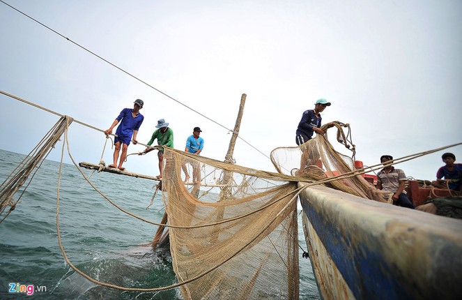 Nhung nguoi nhen o mien cuc Nam cua To quoc-Hinh-12