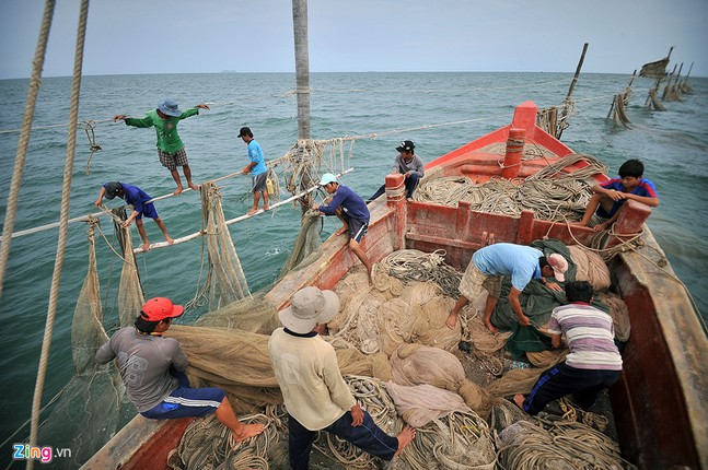 Nhung nguoi nhen o mien cuc Nam cua To quoc-Hinh-13