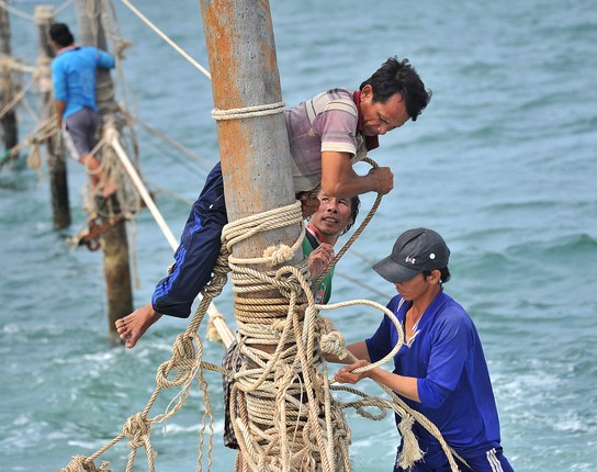 Nhung nguoi nhen o mien cuc Nam cua To quoc-Hinh-14