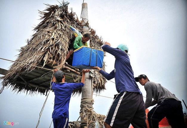 Nhung nguoi nhen o mien cuc Nam cua To quoc-Hinh-40