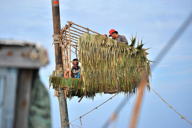 Nhung nguoi nhen o mien cuc Nam cua To quoc-Hinh-5