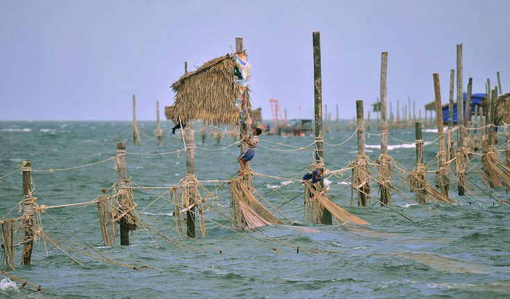 Nhung nguoi nhen o mien cuc Nam cua To quoc-Hinh-8