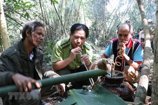 Doc dao le cung Rung cua nguoi dan toc thieu so o Tay Nguyen-Hinh-5