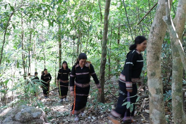 Doc dao le cung Rung cua nguoi dan toc thieu so o Tay Nguyen-Hinh-6