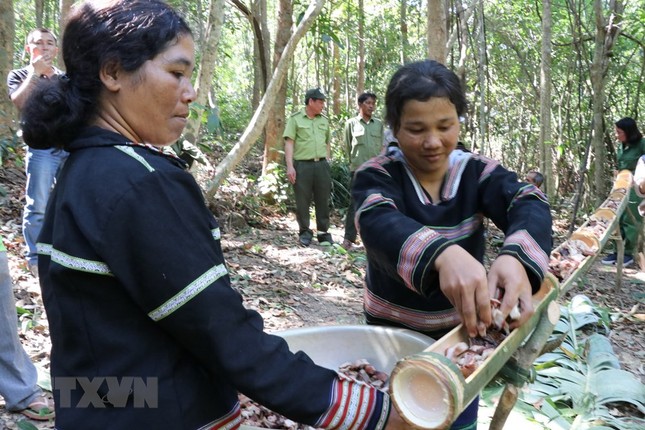 Doc dao le cung Rung cua nguoi dan toc thieu so o Tay Nguyen-Hinh-7