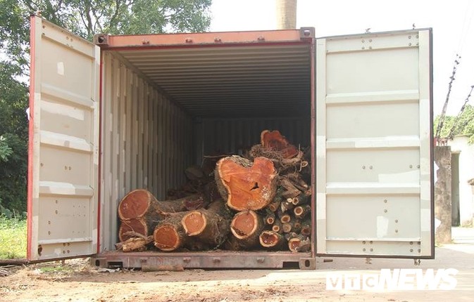 Dan lang mua thung container, ngay dem bao ve go cay sua tram ty-Hinh-7