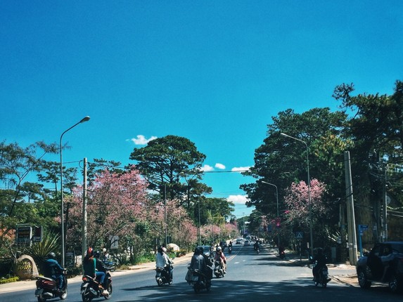 Canh dep mong mo o Da Lat khien ban muon den ngay lap tuc-Hinh-4
