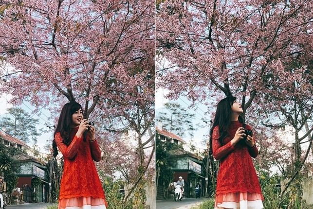 Canh dep mong mo o Da Lat khien ban muon den ngay lap tuc-Hinh-6
