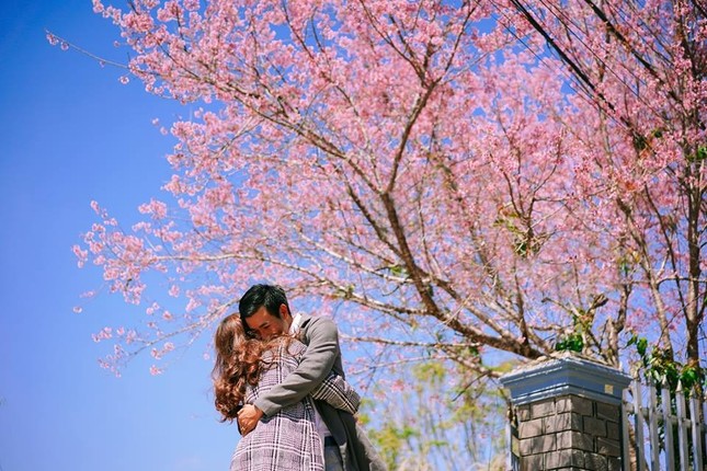 Canh dep mong mo o Da Lat khien ban muon den ngay lap tuc-Hinh-7