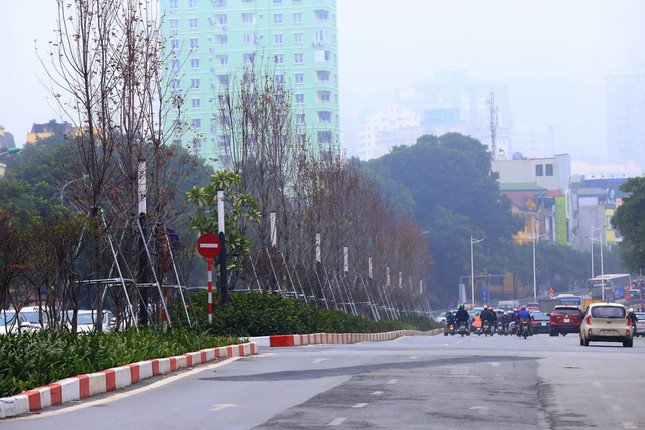 Anh: Phong la do o Ha Noi 