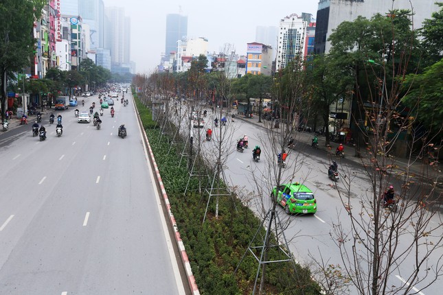 Anh: Phong la do o Ha Noi 