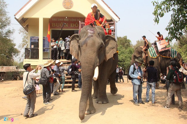 Doc dao le cung suc khoe cho voi Tay Nguyen-Hinh-12