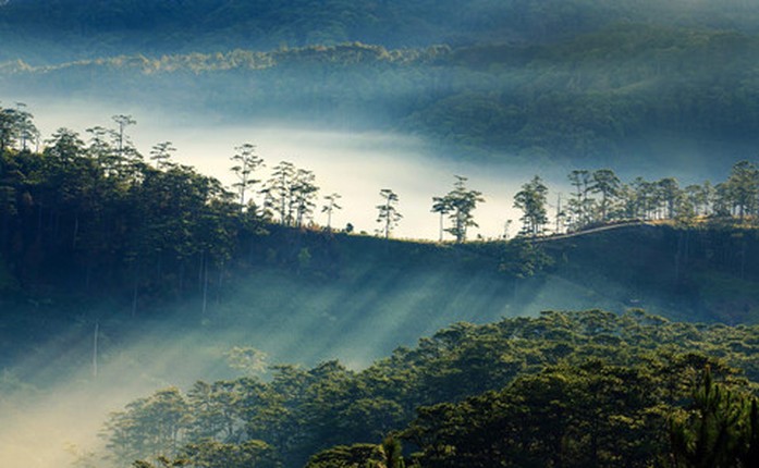 Khoanh khac Da Lat chim trong suong dep tua chon thien duong-Hinh-8