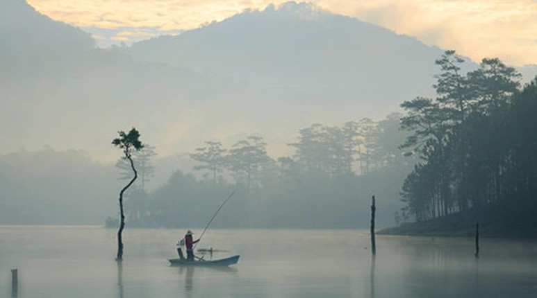 Khoanh khac Da Lat chim trong suong dep tua chon thien duong-Hinh-9