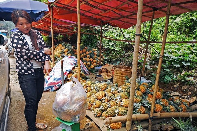 Xot xa canh nong dan bo ca xe tai dua vi Trung Quoc ngung thu mua-Hinh-10