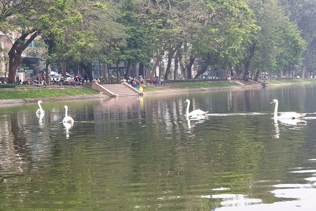 Tan mat ngam dan thien nga de trung o ho Thien Quang-Hinh-8