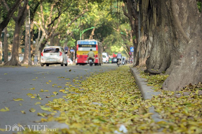 Anh: Ha Noi lang man trong mua la sau rung-Hinh-10