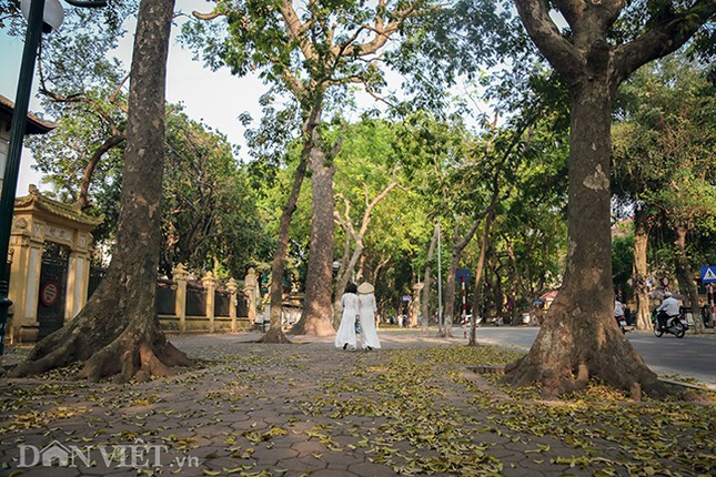 Anh: Ha Noi lang man trong mua la sau rung-Hinh-12