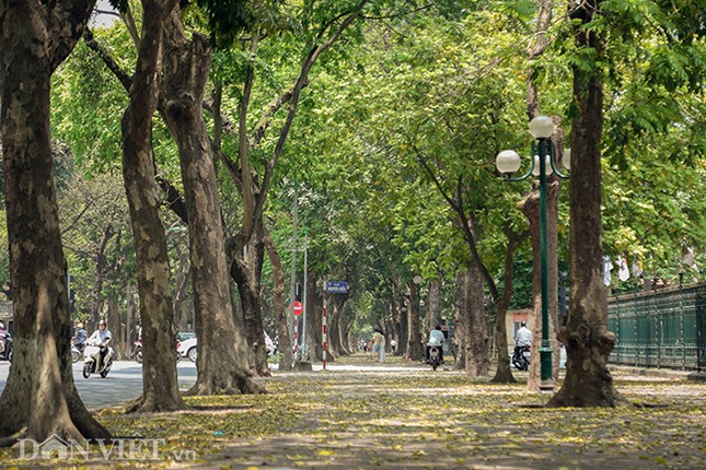 Anh: Ha Noi lang man trong mua la sau rung-Hinh-2