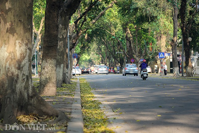 Anh: Ha Noi lang man trong mua la sau rung-Hinh-3