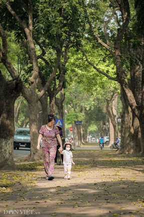 Anh: Ha Noi lang man trong mua la sau rung-Hinh-4